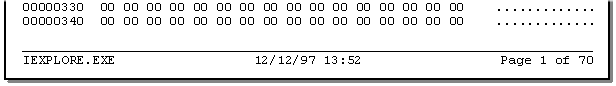 Footer Screen Shot